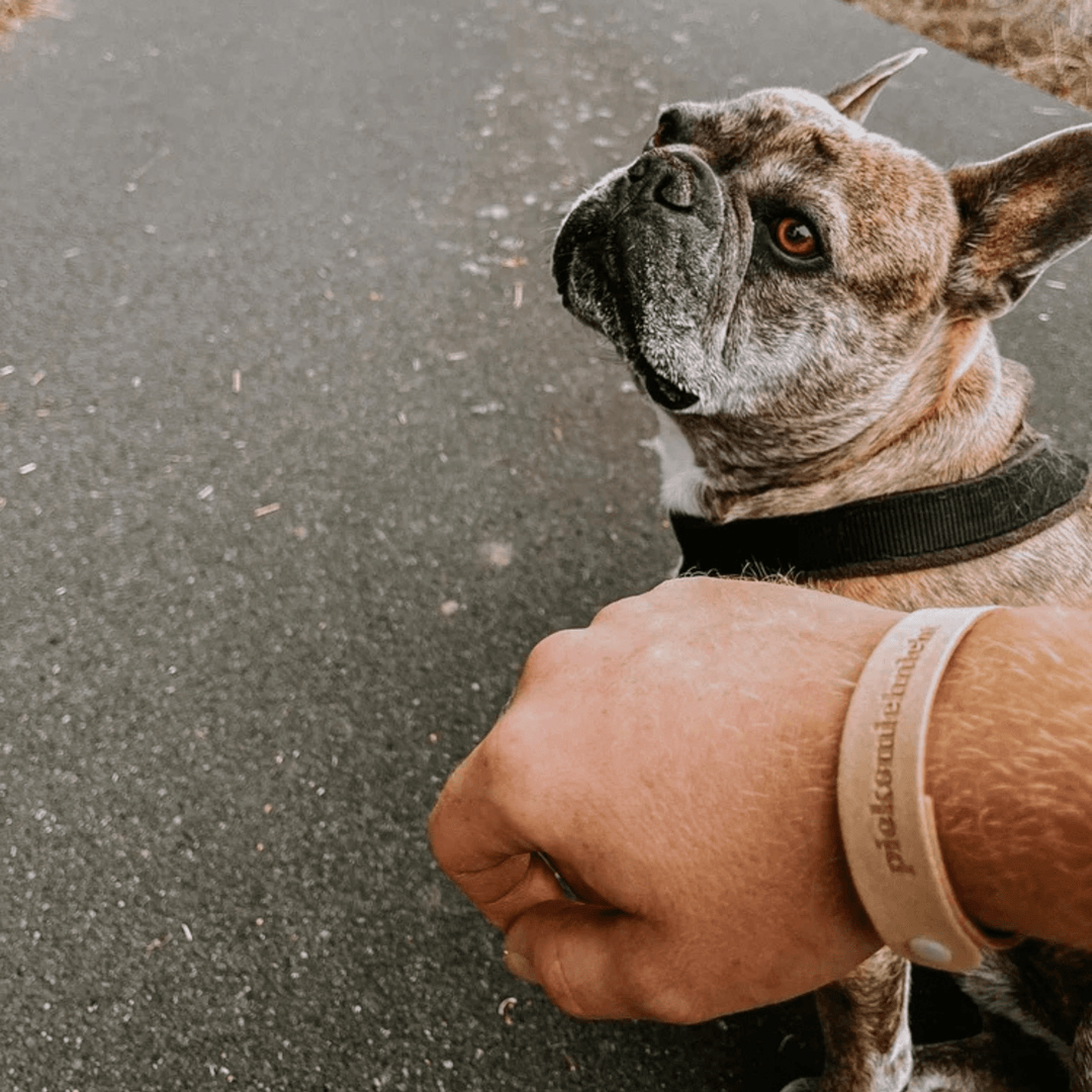 pieksmichnicht Armbänder - pieksmichnicht GmbH